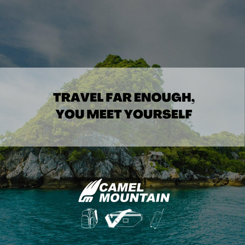 Travel quote graphic in the Camel Mountain style